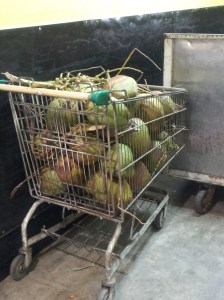 fotor_136232443153081